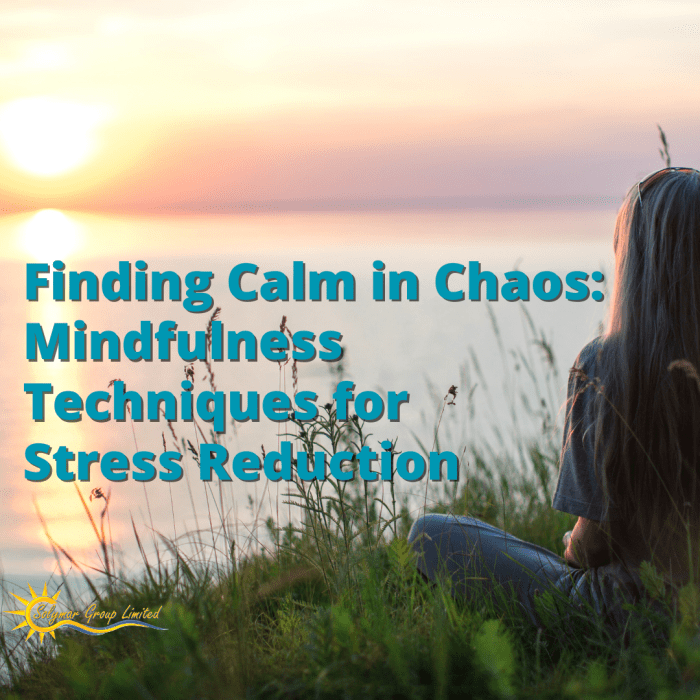 Calm finding chaos childhood educators early importance self care